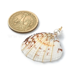 Natural Shell Copper Wire Wrapped Pendants&nbsp;PALLOY-TA00078-03