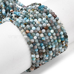 Natural Apatite Beads Strands&nbsp;G-K366-C05-2mm