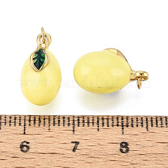 304 Stainless Steel Enamel Pendants&nbsp;STAS-T069-48