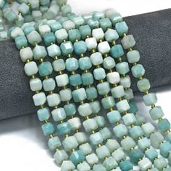Natural Flower Amazonitee Beads Strands&nbsp;G-K389-A04-01