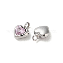 304 Stainless Steel Micro Pave Cubic Zirconia Pendants&nbsp;STAS-L022-396A-P