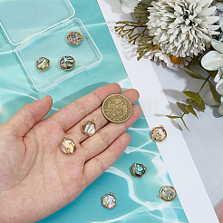 12Pcs 2 Styles Natural Paua Shell Flat Round Hexagon Pendants&nbsp;KK-DR0001-41A