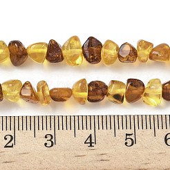 Natural Amber Beads Strands&nbsp;G-L095-E01-03