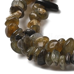 Natural Labradorite Beads Strands&nbsp;G-P332-23