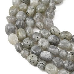 Natural Labradorite Beads Strands&nbsp;G-P623-A03-01