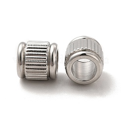 Non-Tarnish 201 Stainless Steel European Beads&nbsp;STAS-M089-03P