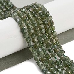 Natural Green Apatit Beads Strands&nbsp;G-H042-A12-02C