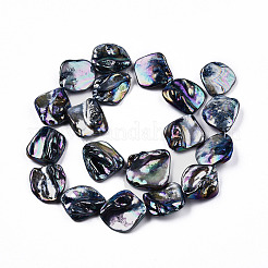 Freshwater Shell Beads Strands&nbsp;X-SHEL-N026-204