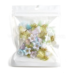 16Pcs Acrylic Pendants&nbsp;PALLOY-FS00076
