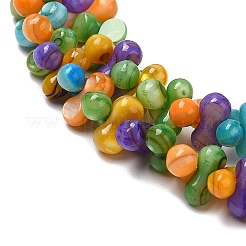 Natural Freshwater Shell Beads Strands&nbsp;SHEL-F007-03