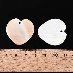 Natural Freshwater Shell Pendants&nbsp;SHEL-T020-34