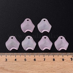 Transparent Acrylic Beads&nbsp;MACR-S373-106-D05