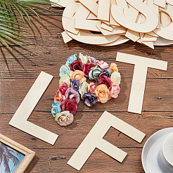 Unfinished Wood Cutouts&nbsp;WOOD-WH0034-24B
