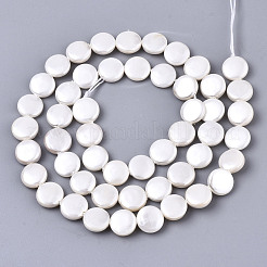 Natural Freshwater Shell Beads Strands&nbsp;SHEL-N026-50A-01