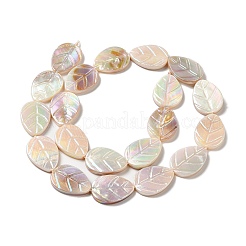 Natural Freshwater Shell Beads Strands&nbsp;SHEL-K006-35