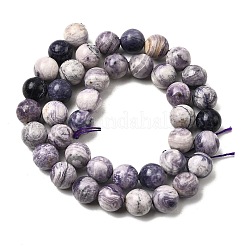Natural Purple Stripe Jasper Beads Strands&nbsp;G-K350-C03-10mm
