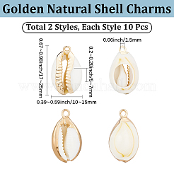 20Pcs 2 Colors Electroplated Natural Cowrie Shell Pendants&nbsp;SSHEL-BBC0001-05
