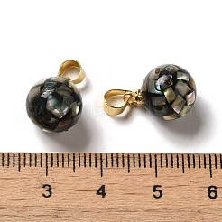 Natural Paua Shell Dyed Round Charms&nbsp;SSHEL-H071-01G-05