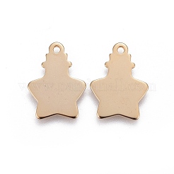 304 Stainless Steel Pendants&nbsp;STAS-F192-041G