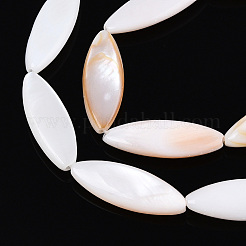 Natural Freshwater Shell Beads Strands&nbsp;PBB220Y-1-01