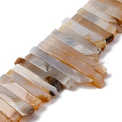 Natural Dendritic Agate Beads Strands&nbsp;G-E331-17-01