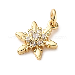 Brass Micro Pave Cubic Zirconia Pendants&nbsp;KK-I383-05G-06