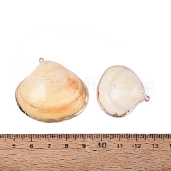 Electroplate Natural Sea Shell Pendants&nbsp;SSHEL-Q100-16KCG