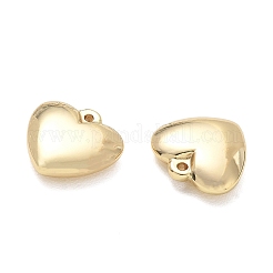 304 Stainless Steel Pendants&nbsp;SA-CBA3037-20G-09
