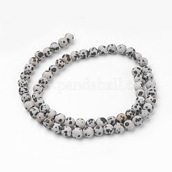Natural Dalmatian Jasper Bead Strands&nbsp;G-G735-68F-6mm