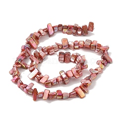 Natural Freshwater Shell Beads Strands&nbsp;BSHE-H018-07