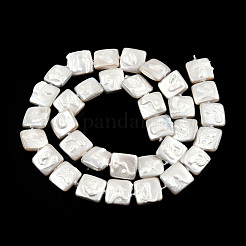 Plating Natural Freshwater Shell Beads Strands&nbsp;SHEL-N026-230A