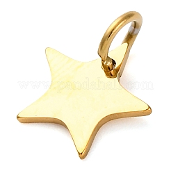 304 Stainless Steel Charms&nbsp;LS-STAS-Q331-01E