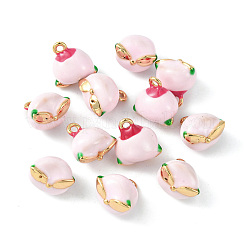 Brass Enamel Charms&nbsp;KK-G462-40LG