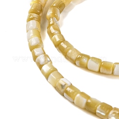 Natural Trochus Shell Beads Strands&nbsp;BSHE-S304-09A