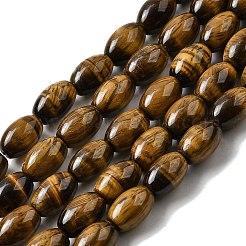 Natural Tiger Eye Beads Strands&nbsp;G-A275-A01-8x12mm-AB