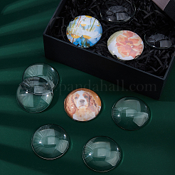 20Pcs Transparent Glass Cabochons&nbsp;GGLA-FH0001-05