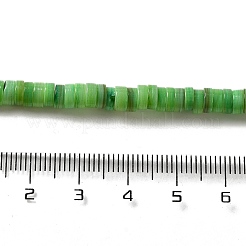 Natural Shell Beads&nbsp;BSHE-B003-13A-03