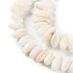 Natural Anomaly Freshwater Shell Beads Strands&nbsp;BSHE-S304-05C