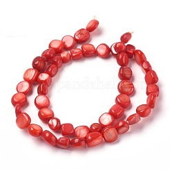 Freshwater Shell Beads Strands&nbsp;BSHE-O017-07
