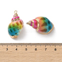 Conch Shell Pendants&nbsp;SSHEL-B002-06C