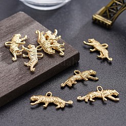 Tibetan Style Alloy Pendants&nbsp;TIBEP-T002-09MG-NR