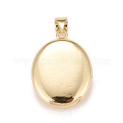 Brass Micro Pave Cubic Zirconia Locket Pendants&nbsp;LS-KK-A161-49G