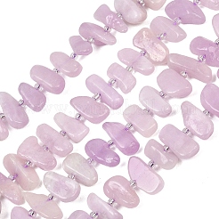 Natural Kunzite Beads Strands&nbsp;G-L657-E05-01