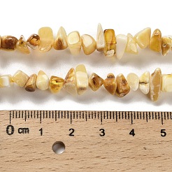 Natural Amber Beads Strands&nbsp;G-L095-N01-03