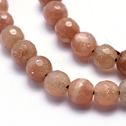 Natural Sunstone Beads Strands&nbsp;G-K224-10-6mm