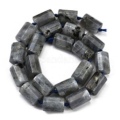 Natural Labradorite Beads Strands&nbsp;G-G162-D13-02
