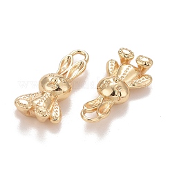 Rack Plating Brass Pendants&nbsp;KK-E267-03LG