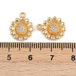 Brass Micro Pave Cubic Zirconia Charms&nbsp;KK-F910-20G