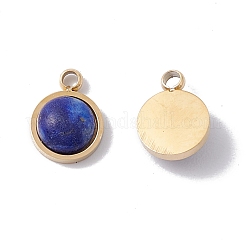 Natural Mixed Stone Charms&nbsp;STAS-H168-01G