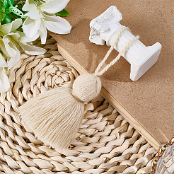 6Pcs Acrylic Fibers Tassel Pendant Decorations&nbsp;HJEW-CP0001-31A